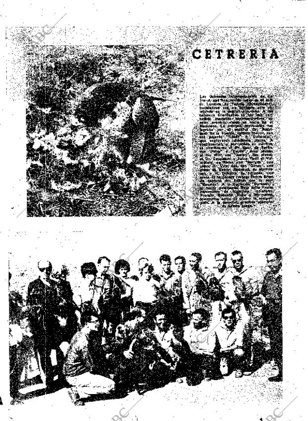 ABC SEVILLA 24-10-1964 página 8