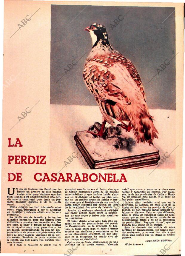 ABC MADRID 25-10-1964 página 93