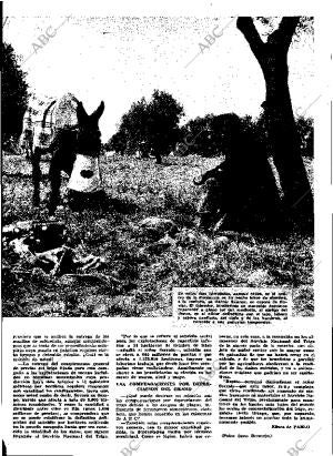 ABC MADRID 30-10-1964 página 25