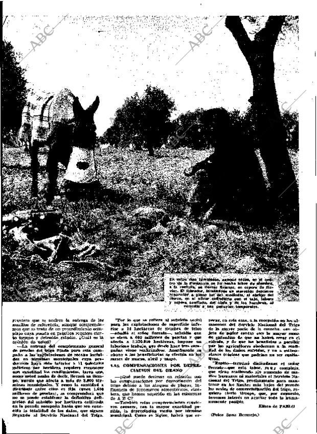 ABC MADRID 30-10-1964 página 25