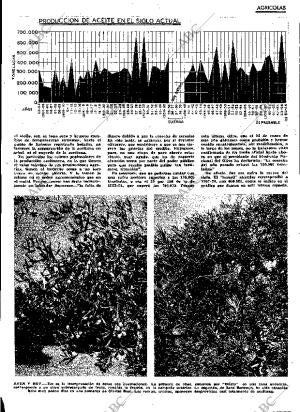 ABC MADRID 30-10-1964 página 29