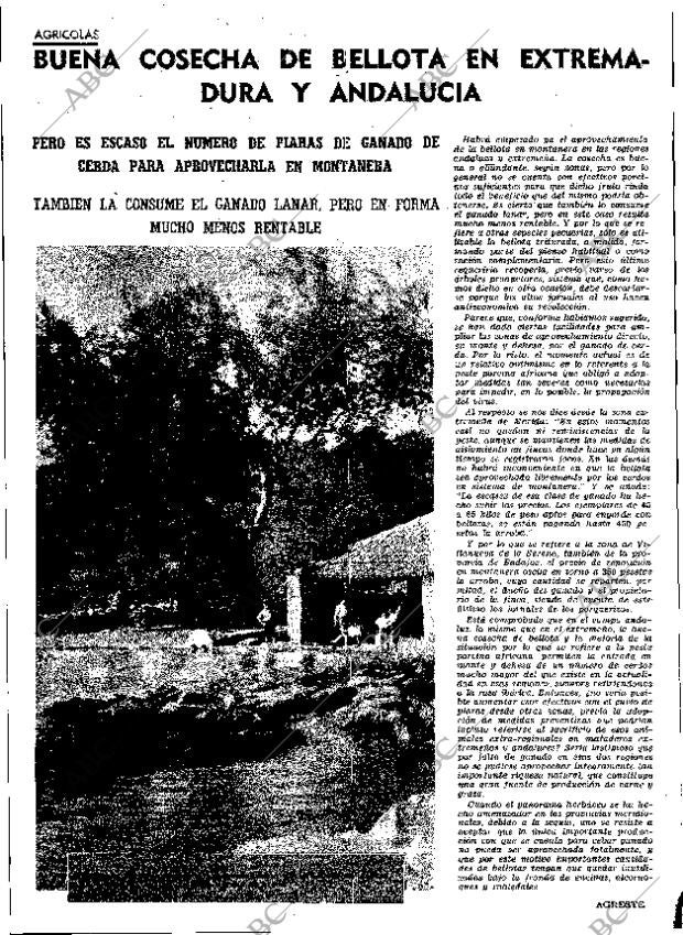 ABC MADRID 30-10-1964 página 32