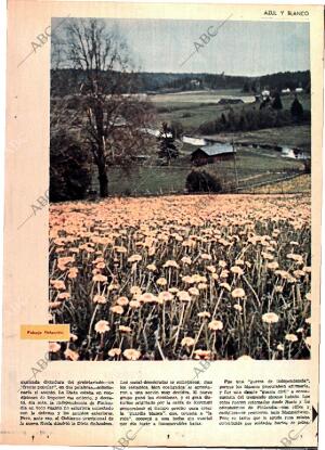 ABC MADRID 22-11-1964 página 9