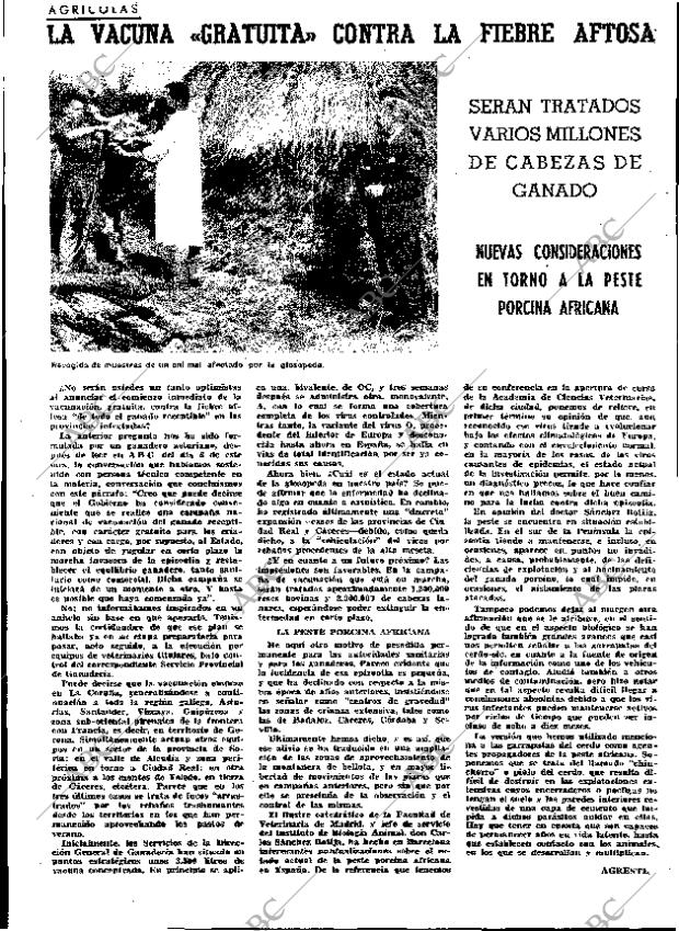 ABC MADRID 27-11-1964 página 34