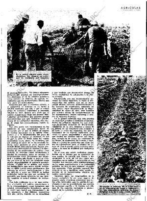ABC MADRID 04-12-1964 página 33