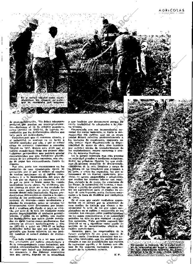 ABC MADRID 04-12-1964 página 33