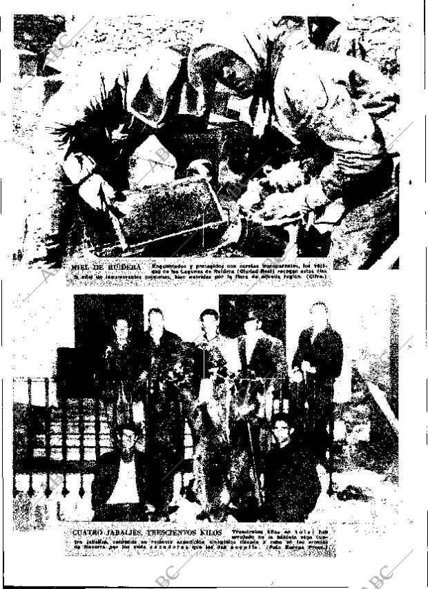 ABC MADRID 08-12-1964 página 13