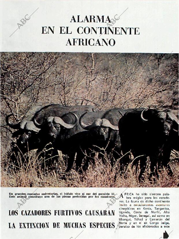 BLANCO Y NEGRO MADRID 12-12-1964 página 71