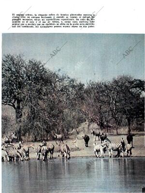 BLANCO Y NEGRO MADRID 12-12-1964 página 75