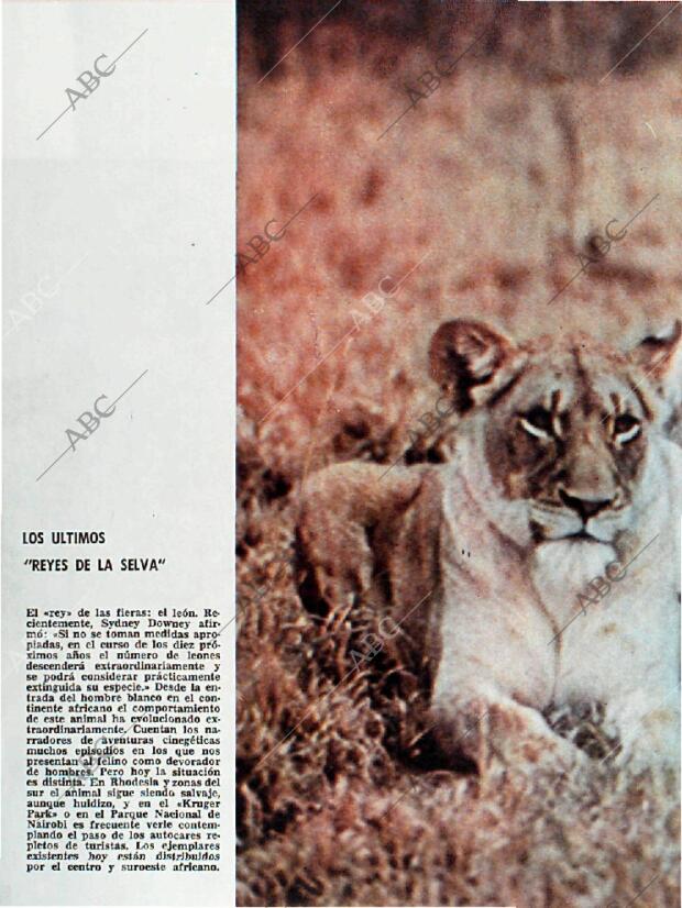 BLANCO Y NEGRO MADRID 12-12-1964 página 76