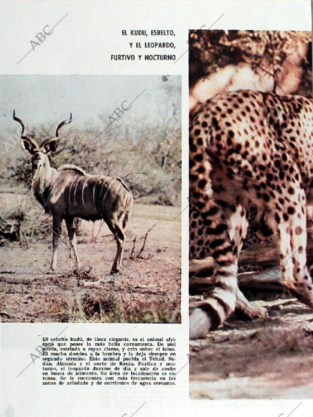 BLANCO Y NEGRO MADRID 12-12-1964 página 80