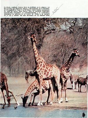 BLANCO Y NEGRO MADRID 12-12-1964 página 85