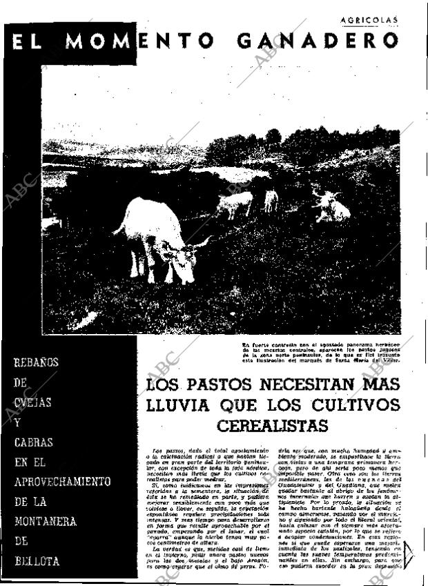 ABC MADRID 18-12-1964 página 35