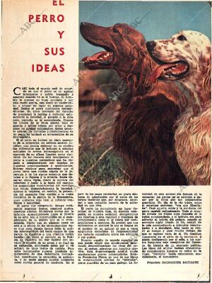 ABC SEVILLA 27-12-1964 página 9