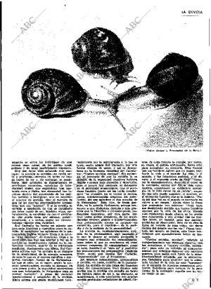 ABC MADRID 29-12-1964 página 51