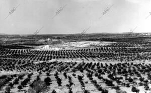 Vista general de la Finca "lo Romero" en Murcia