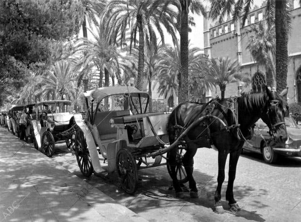 Carruajes de palma de Mallorca