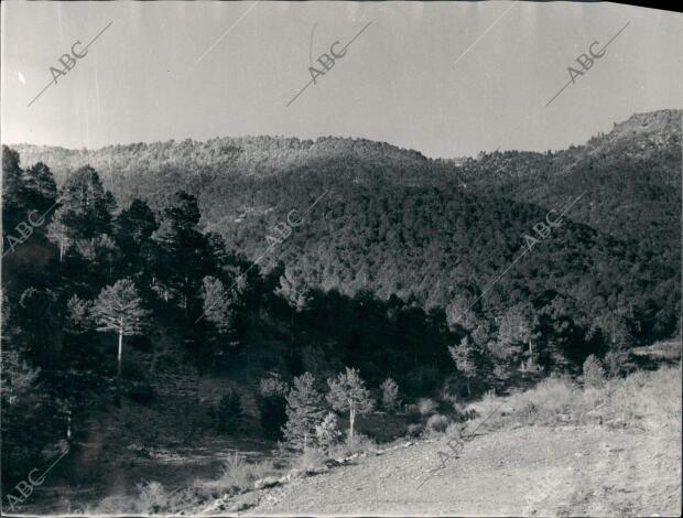 Cerro del telégrafo