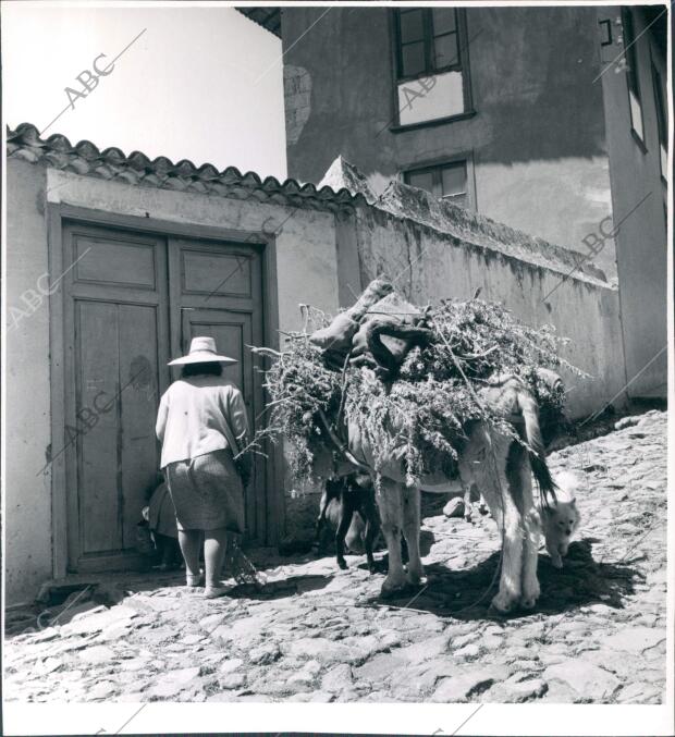 Una Campesina en Vilaflor (Tenerife)