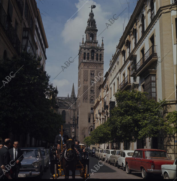 (CA.) Coche de caballos en una de sus calles. Al fondo la Giralda