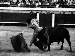 Un excelente pase de muleta de Paco Camino