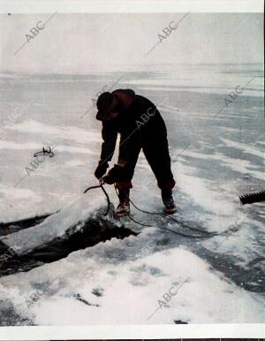 BLANCO Y NEGRO MADRID 30-01-1965 página 61