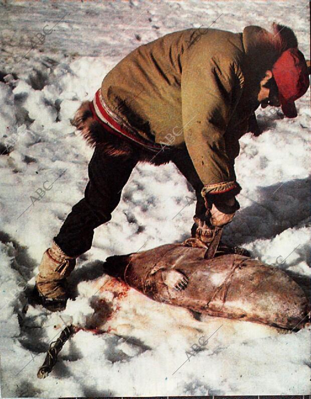 BLANCO Y NEGRO MADRID 30-01-1965 página 62