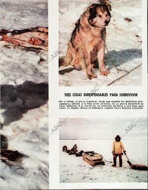 BLANCO Y NEGRO MADRID 30-01-1965 página 63