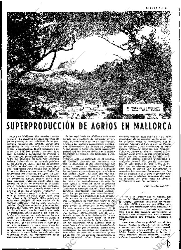 ABC MADRID 12-02-1965 página 19