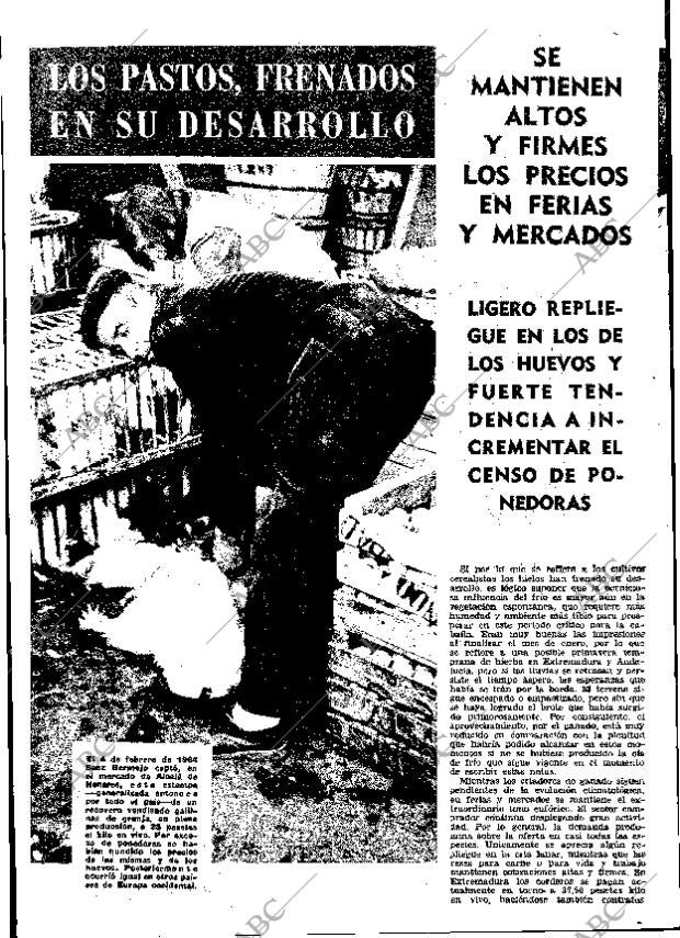 ABC MADRID 19-02-1965 página 26