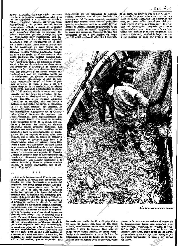 ABC MADRID 20-02-1965 página 37