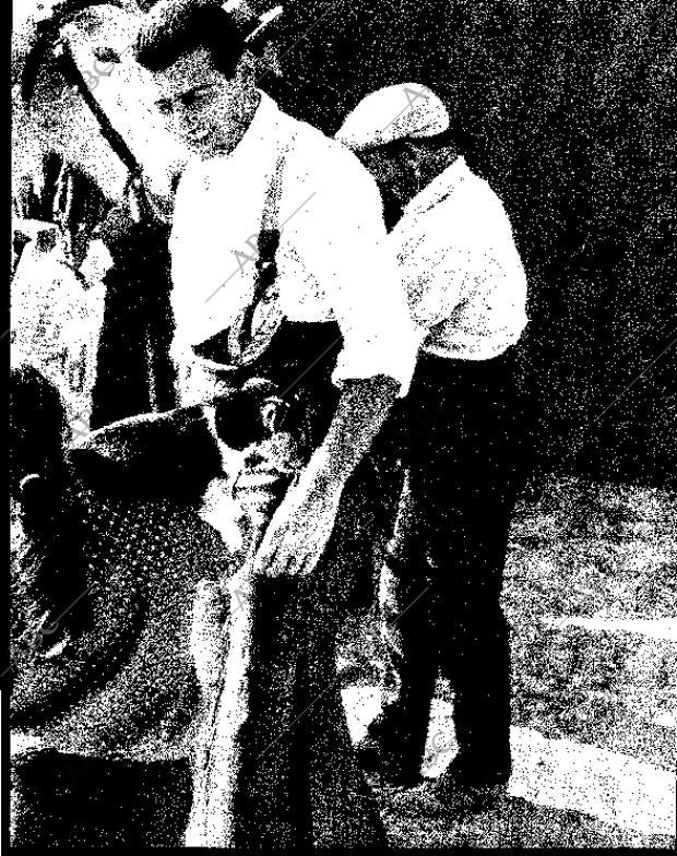 BLANCO Y NEGRO MADRID 20-02-1965 página 23