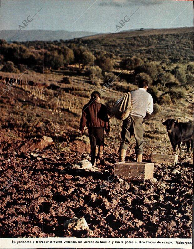 BLANCO Y NEGRO MADRID 20-02-1965 página 24