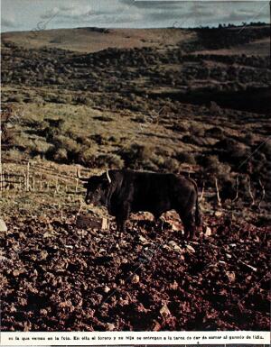 BLANCO Y NEGRO MADRID 20-02-1965 página 25
