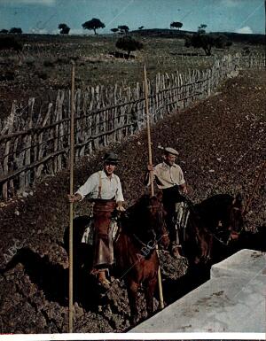 BLANCO Y NEGRO MADRID 20-02-1965 página 28