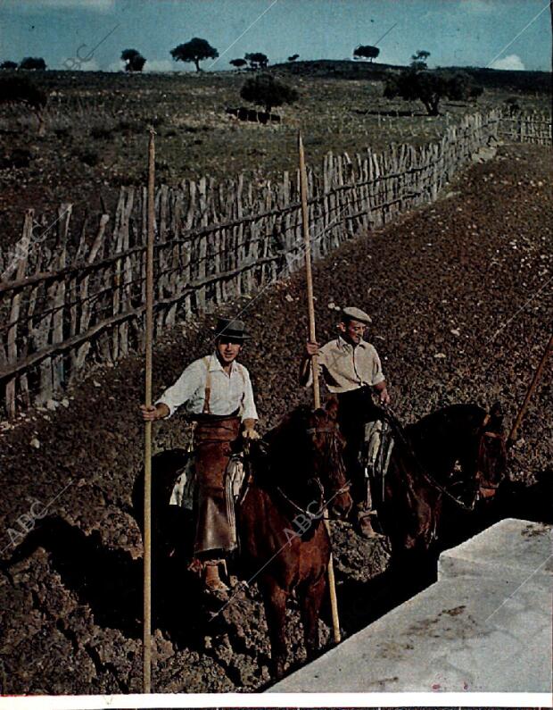 BLANCO Y NEGRO MADRID 20-02-1965 página 28