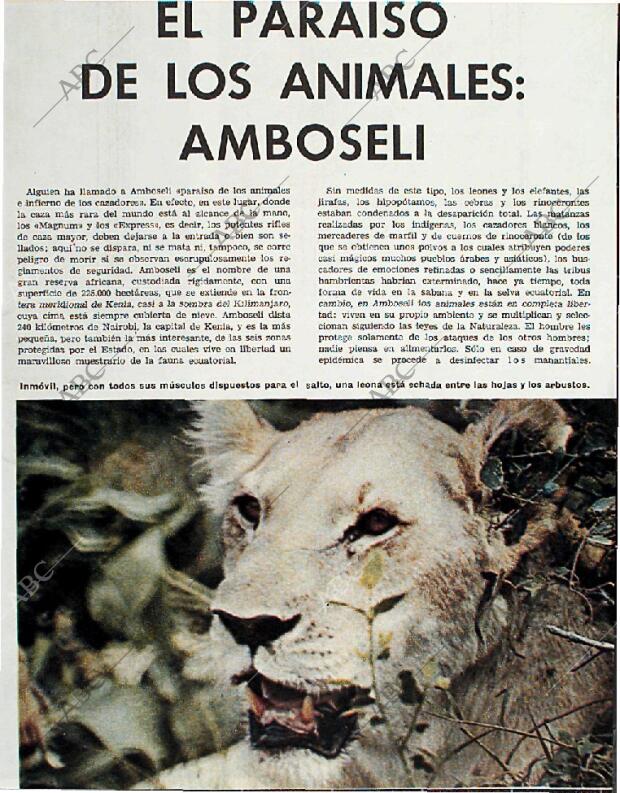 BLANCO Y NEGRO MADRID 20-02-1965 página 59