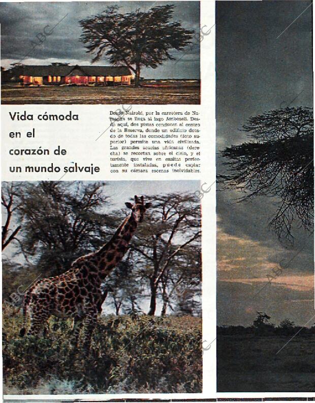 BLANCO Y NEGRO MADRID 20-02-1965 página 60