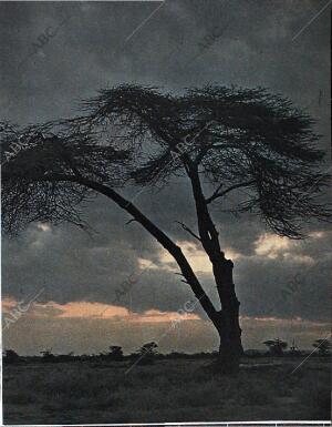 BLANCO Y NEGRO MADRID 20-02-1965 página 61