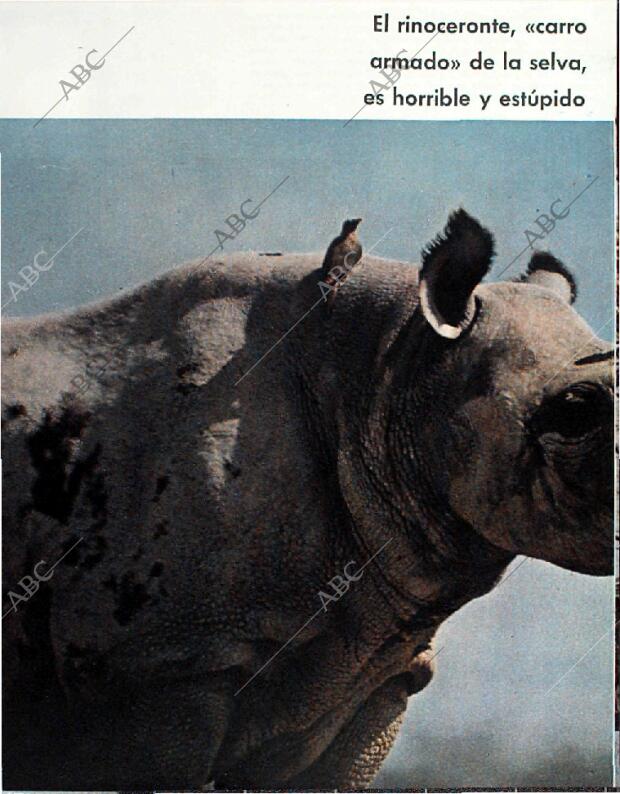 BLANCO Y NEGRO MADRID 20-02-1965 página 64