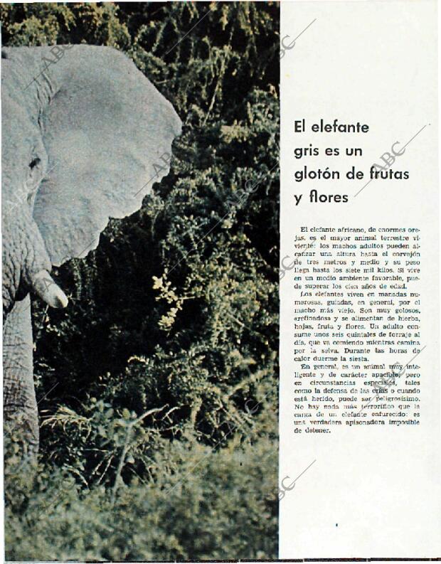 BLANCO Y NEGRO MADRID 20-02-1965 página 71