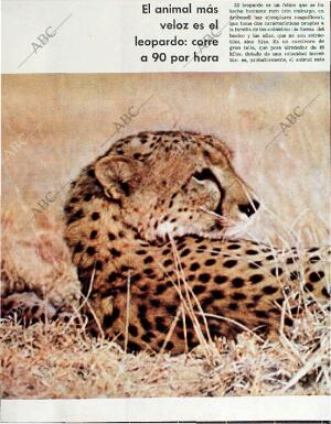 BLANCO Y NEGRO MADRID 20-02-1965 página 72