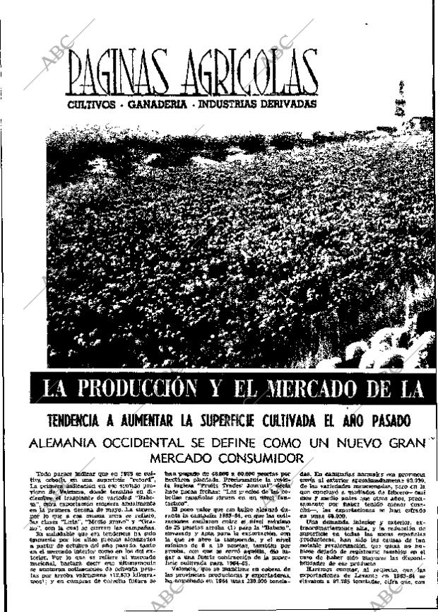 ABC MADRID 12-03-1965 página 32