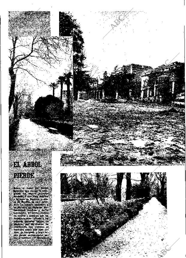 ABC MADRID 14-03-1965 página 56