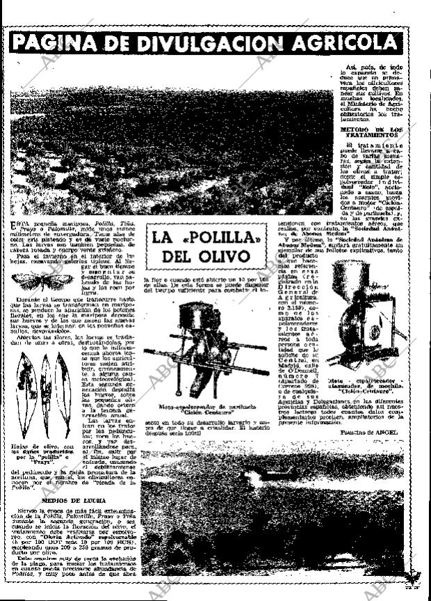 ABC MADRID 24-03-1965 página 25