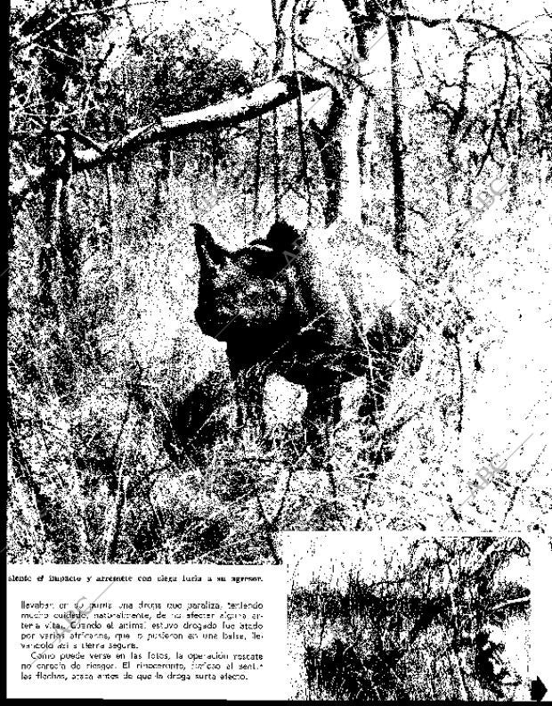 BLANCO Y NEGRO MADRID 17-04-1965 página 111