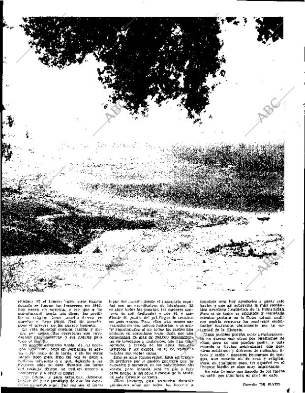 ABC SEVILLA 28-04-1965 página 35