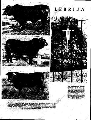 ABC SEVILLA 13-05-1965 página 8