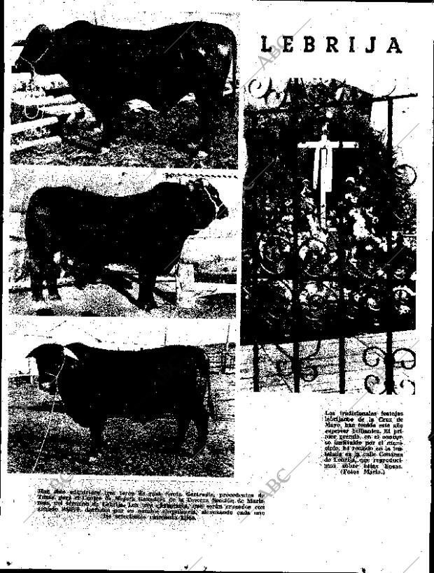 ABC SEVILLA 13-05-1965 página 8