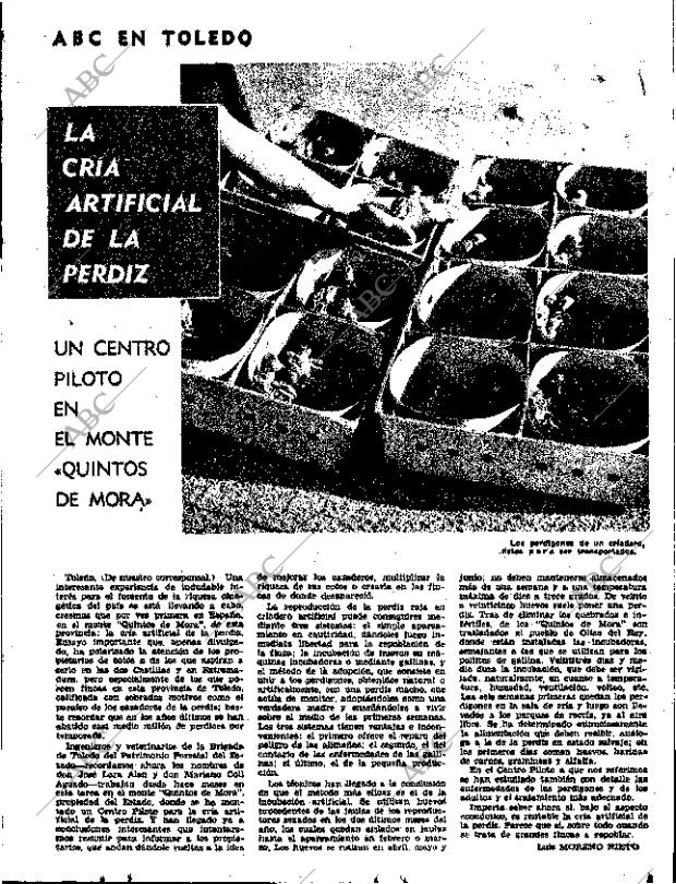 ABC SEVILLA 19-05-1965 página 59